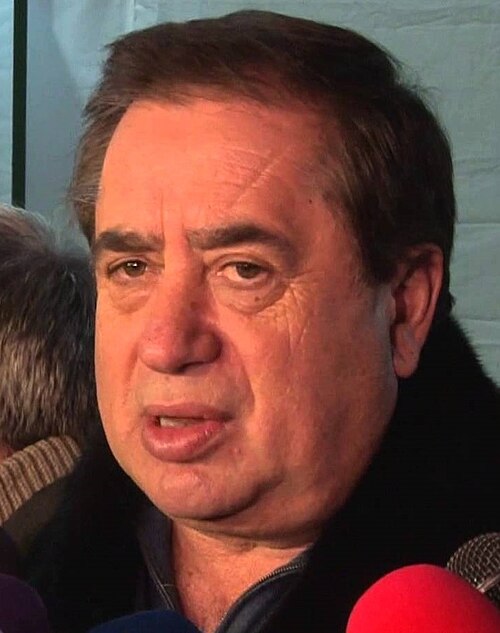 Ioan Niculae's $700 Million Fortune: Agriculture to Football